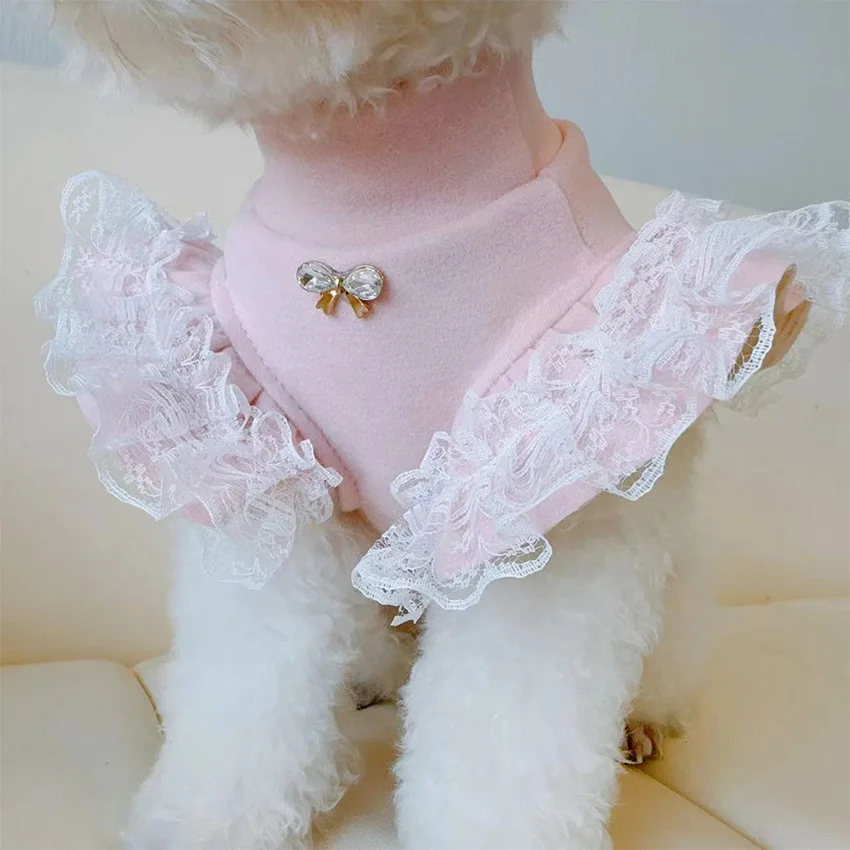 Odzież dla zwierząt Jesienno-z – Lace Teddy Lingerie recenzja i cena