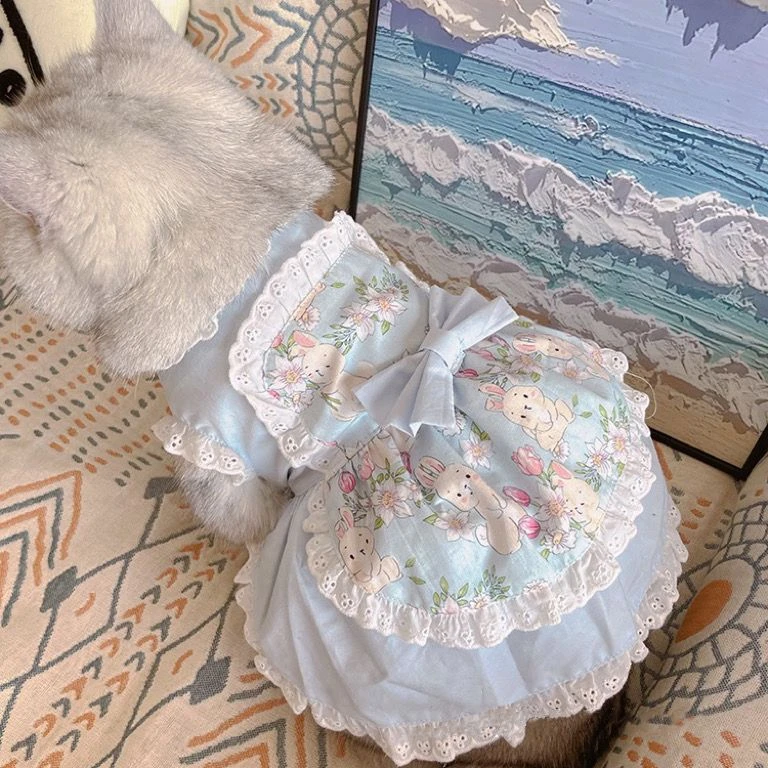 Urocza sukienka fartuch z koro – Lace Teddy Lingerie recenzja i cena